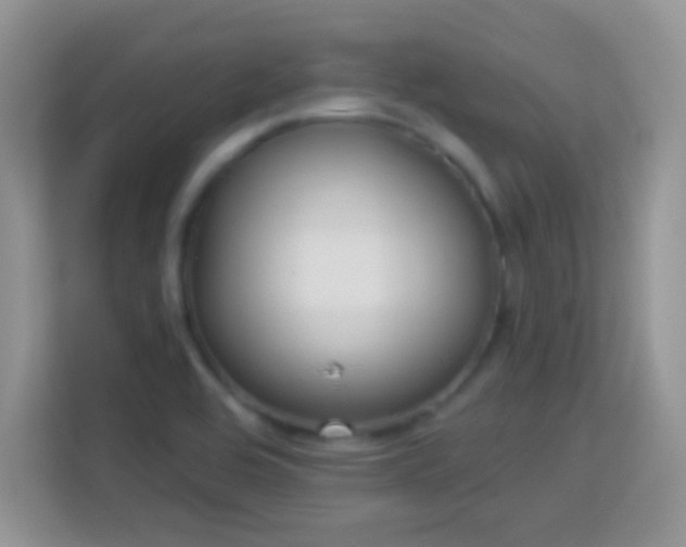 X0000114161464200910081343