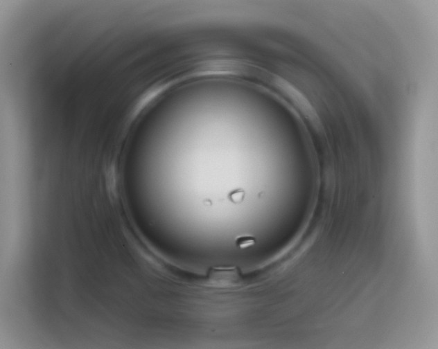 X0000114161465200910081343