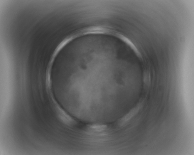 X0000114161466200910081343
