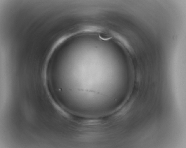 X0000114161471200910081343