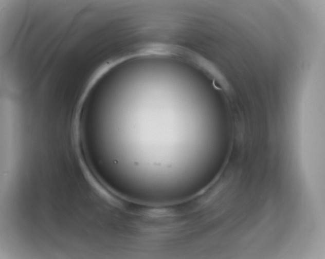 X0000114161479200910081343
