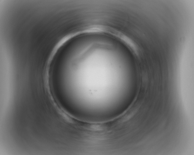 X0000114161480200910081343