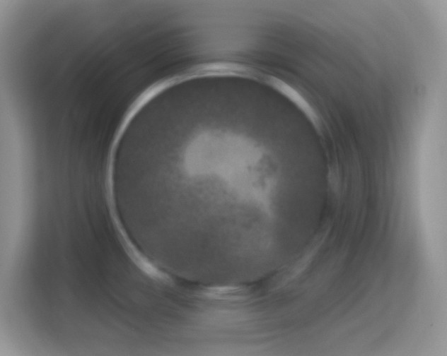 X0000114161482200910081343
