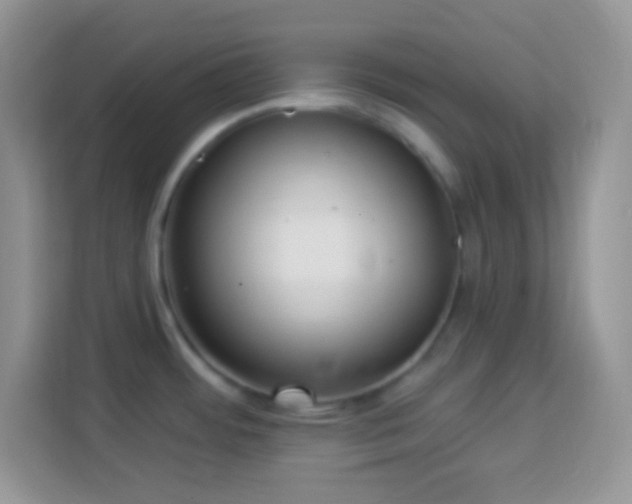 X0000114161484200910081343