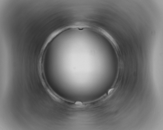 X0000114161485200910081343