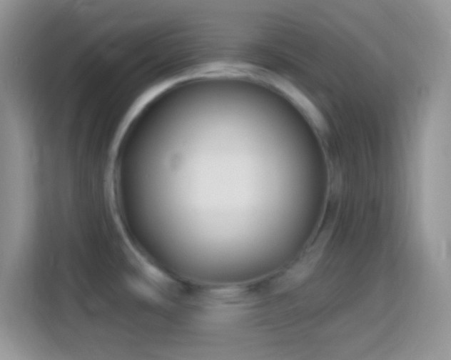 X0000114161486200910081343