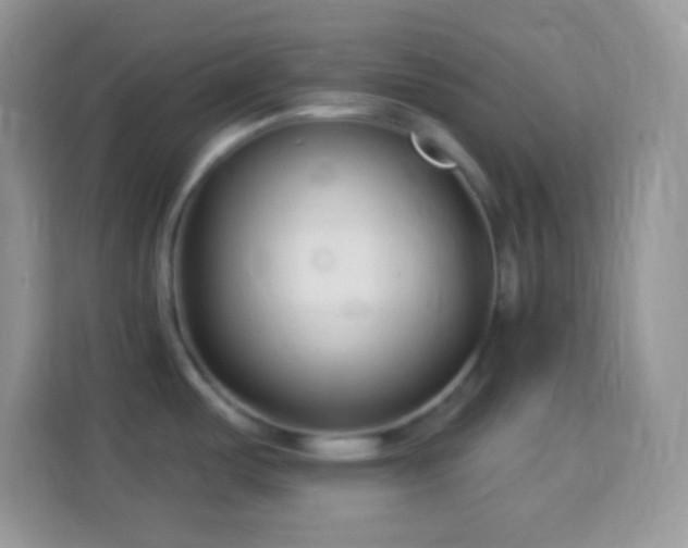 X0000114161487200910081343