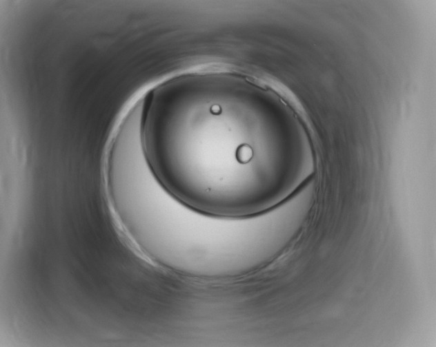X0000114161488200910081343