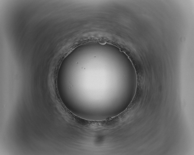 X0000114161489200910081342