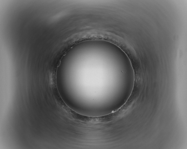 X0000114161490200910081342