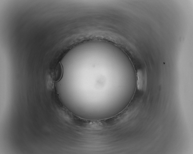 X0000114161491200910081342