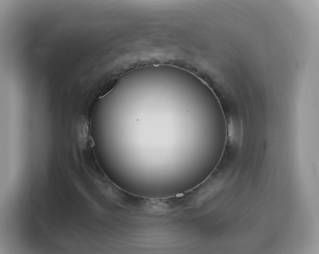 X0000114161492200910081342