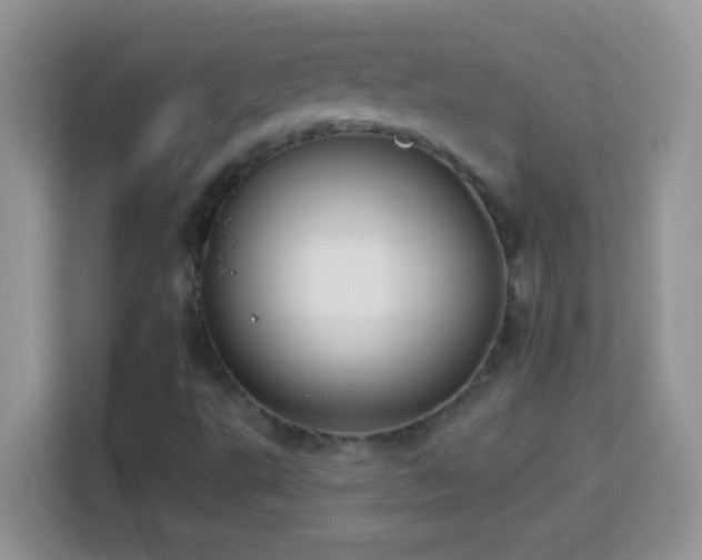 X0000114161495200910081342