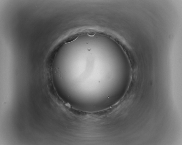 X0000114161496200910081342