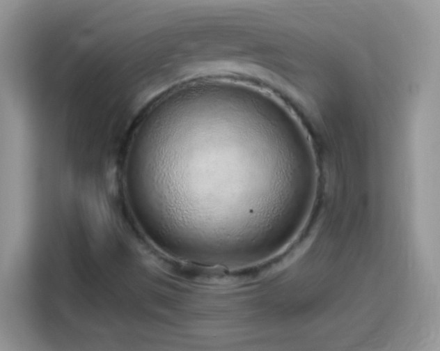 X0000114161497200910081342