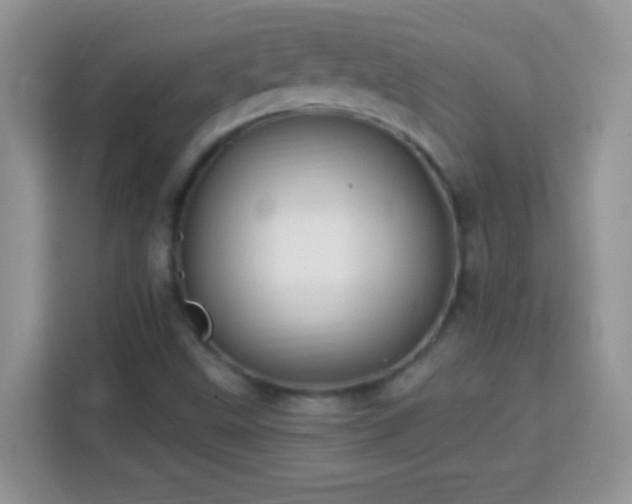 X0000114161499200910081342