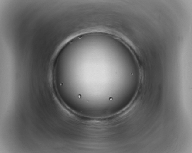 X0000114161500200910081342