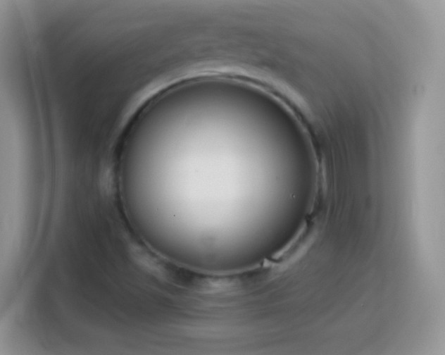 X0000114161501200910081342