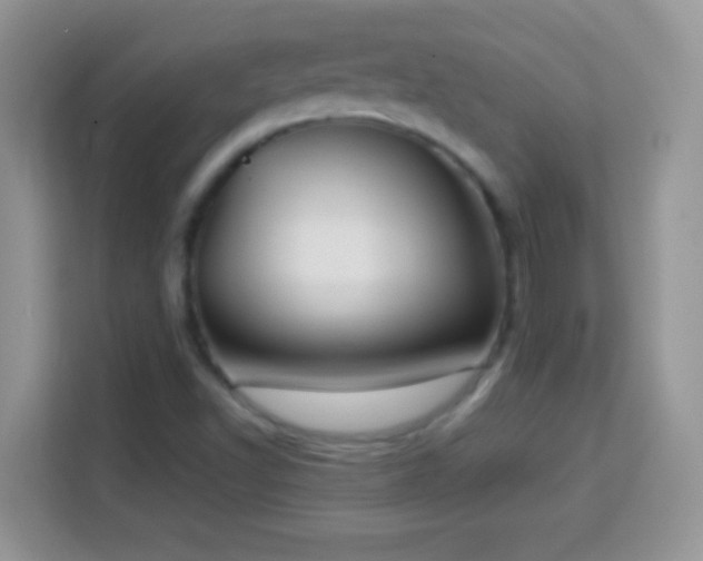 X0000114161502200910081342