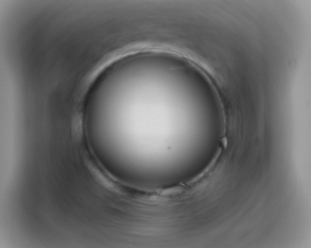 X0000114161503200910081342