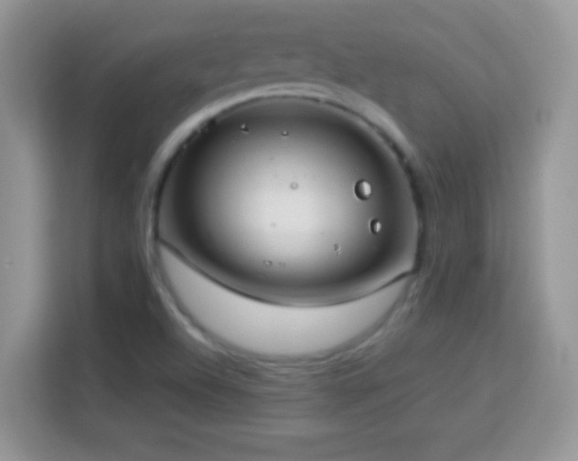 X0000114161504200910081342