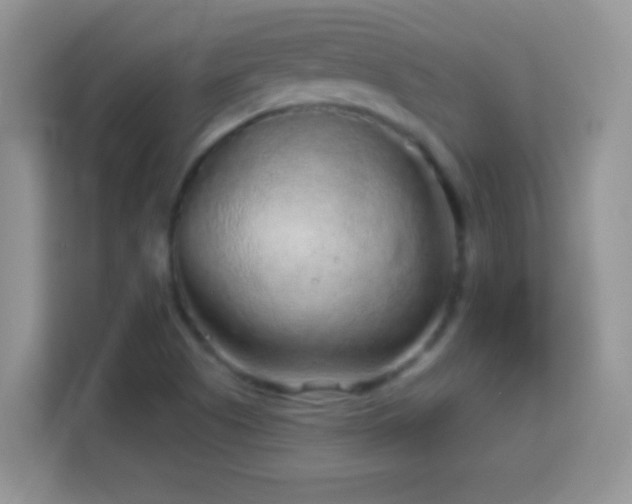 X0000114161505200910081342