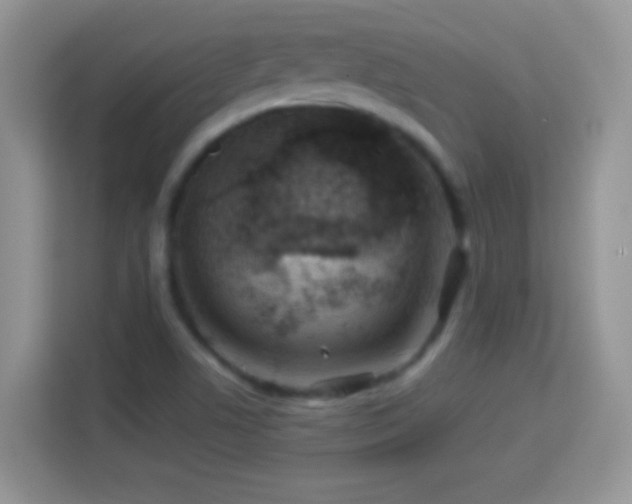 X0000114161506200910081342