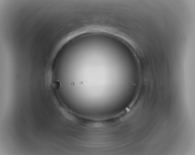 X0000114161507200910081342