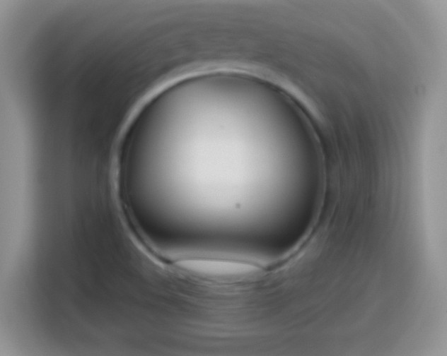 X0000114161508200910081342