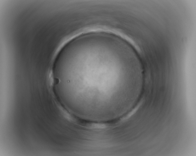 X0000114161509200910081342