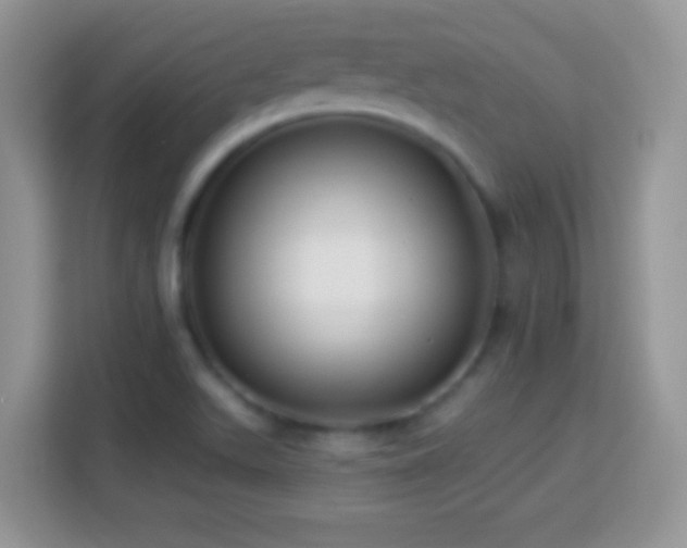 X0000114161511200910081342