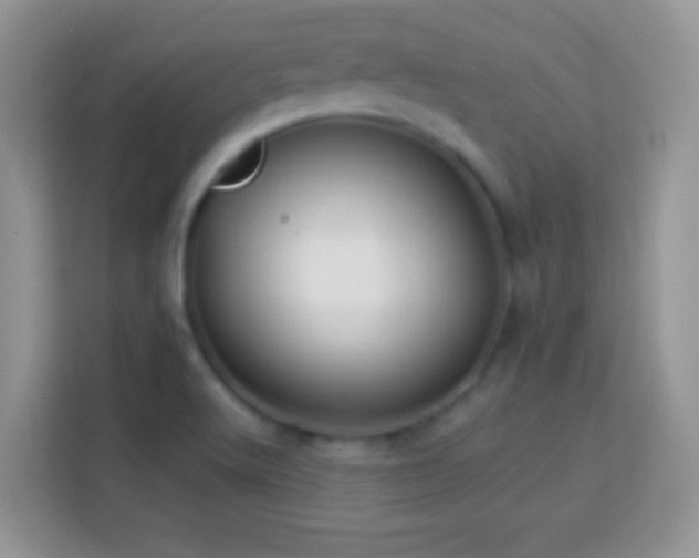 X0000114161512200910081342