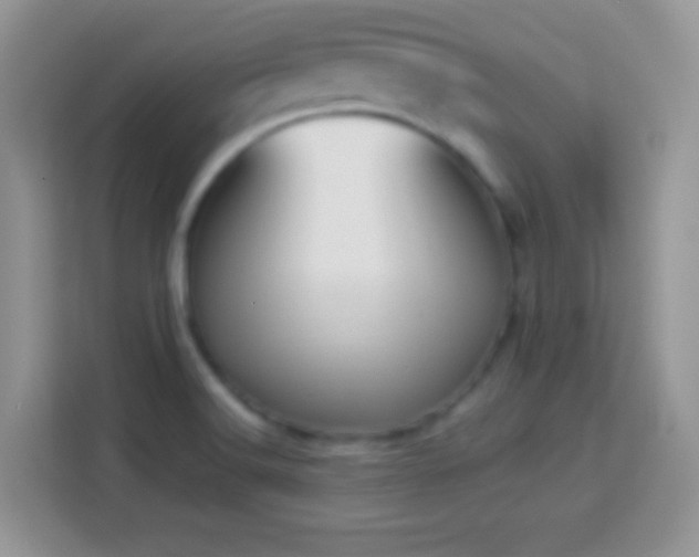 X0000114161516200910081342