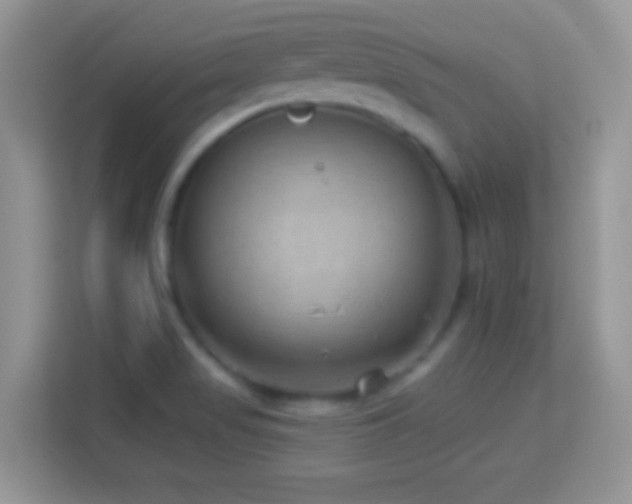 X0000114161517200910081342