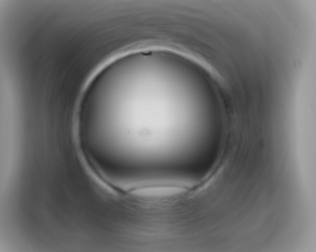 X0000114161518200910081342