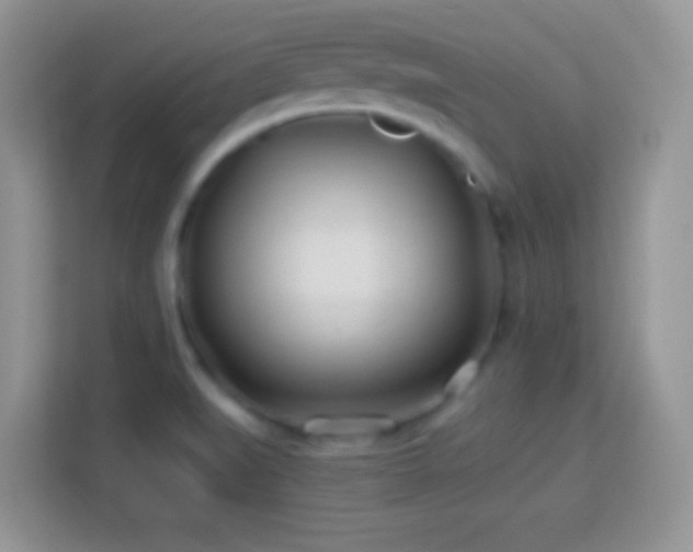 X0000114161519200910081342