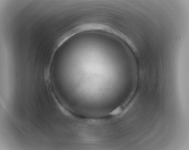 X0000114161521200910081343