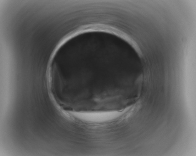 X0000114161522200910081343