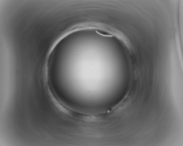 X0000114161524200910081343