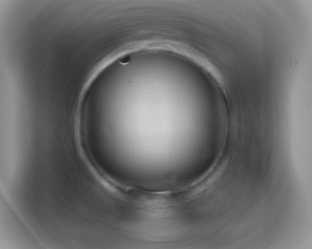 X0000114161525200910081343