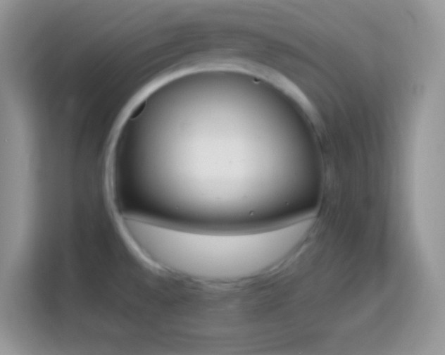 X0000114161528200910081343