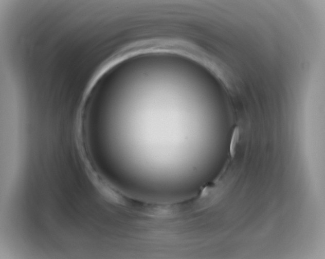 X0000114161530200910081343