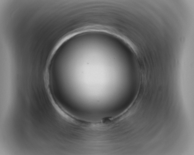 X0000114161531200910081343