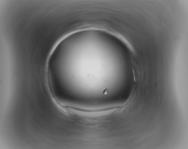X0000114161532200910081343
