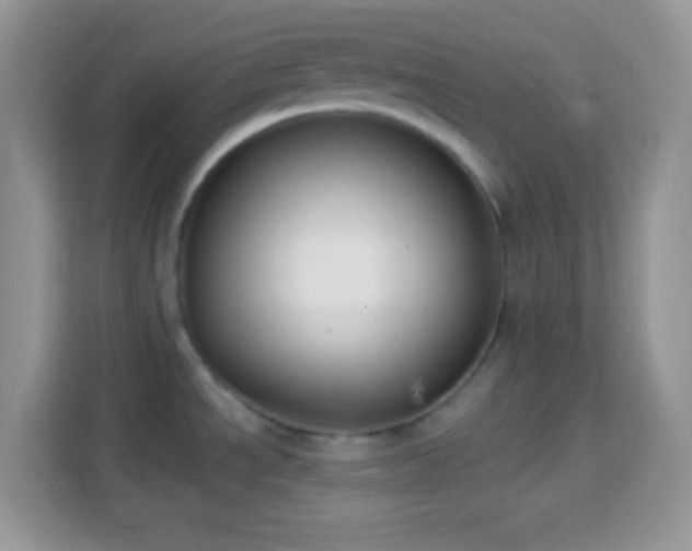 X0000114161534200910081343