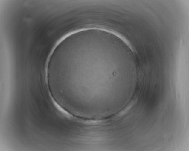 X0000114161535200910081343
