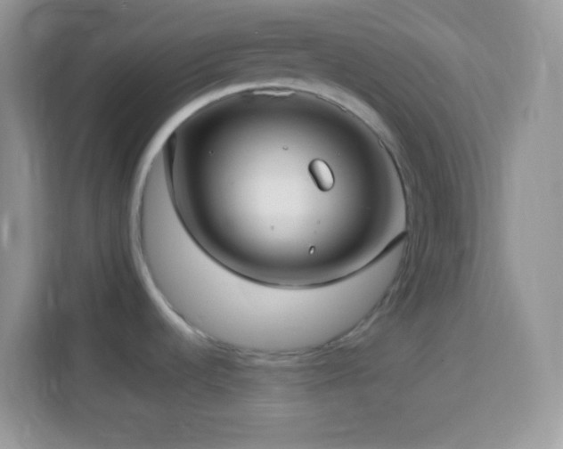 X0000114161536200910081343