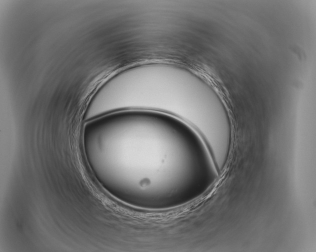 X0000114160001200910151618