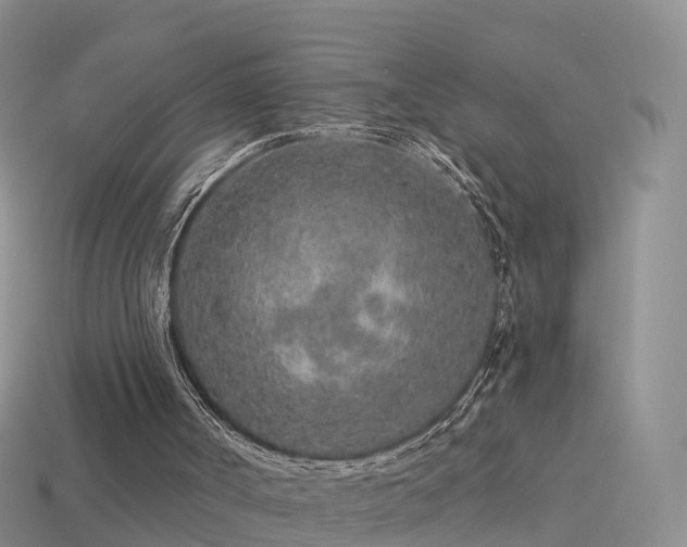 X0000114160002200910151618