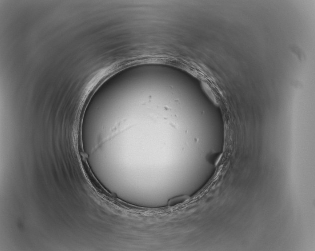 X0000114160003200910151618